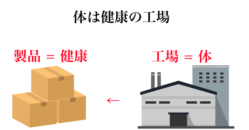 体は健康の工場